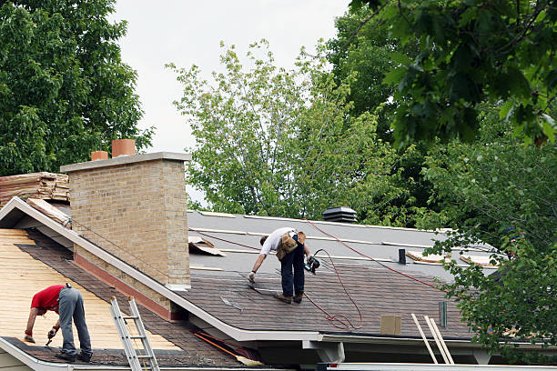 Best Metal Roofing Installation  in Germantown Hls, IL