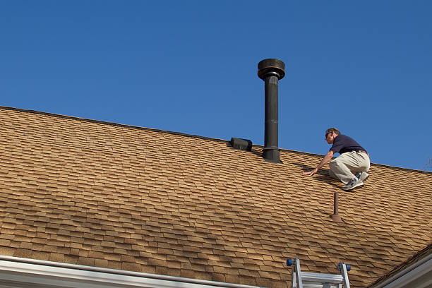 Best Roof Maintenance and Cleaning  in Germantown Hls, IL